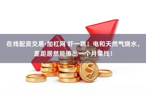 在线配资交易·加杠网 吓一跳！电和天然气烧水，差距居然能擦出一个月菜钱！